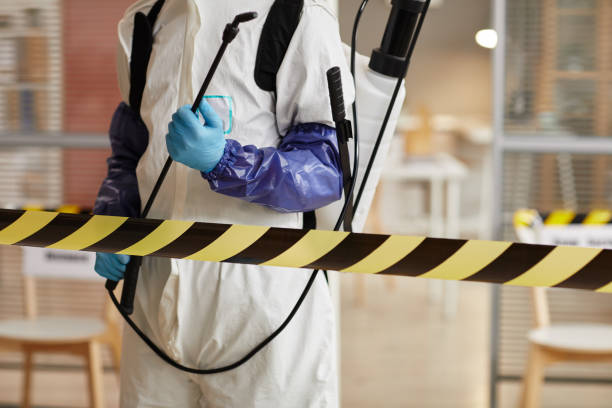 Professional Odor Removal technician working in Montgomery, IN